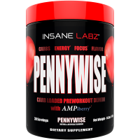 Pennywise - Insane Labz